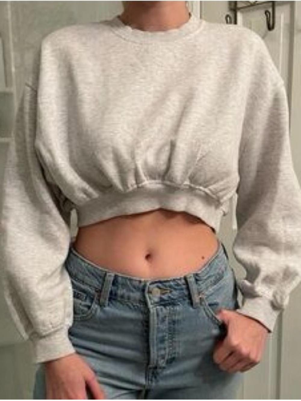 Zara Light Gray Cropped Crewneck Sweatshirt